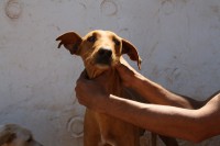 /album/fotogaleria/img-3087-jpg/